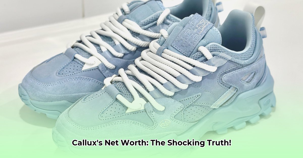 callux-net-worth